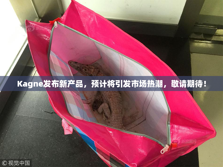 Kagne发布新产品，预计将引发市场热潮，敬请期待！