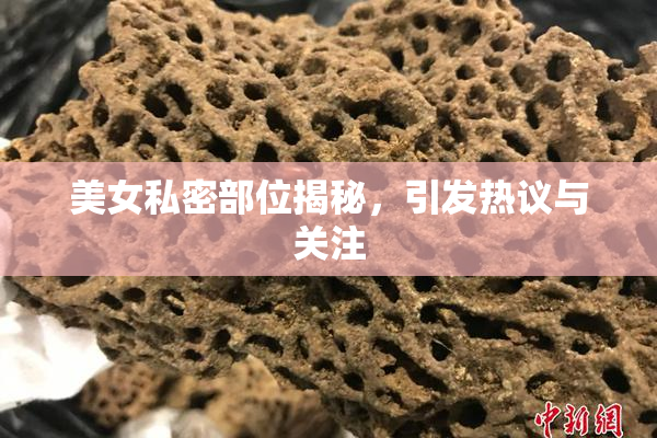 美女私密部位揭秘，引发热议与关注