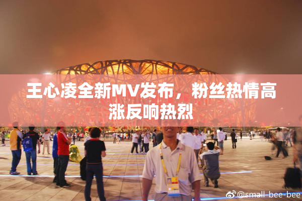 王心凌全新MV发布，粉丝热情高涨反响热烈