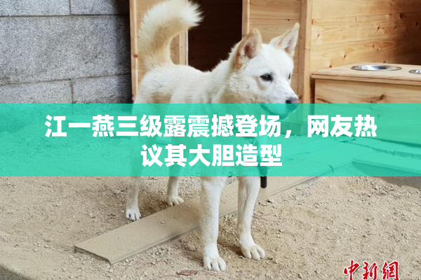 江一燕三级露震撼登场，网友热议其大胆造型