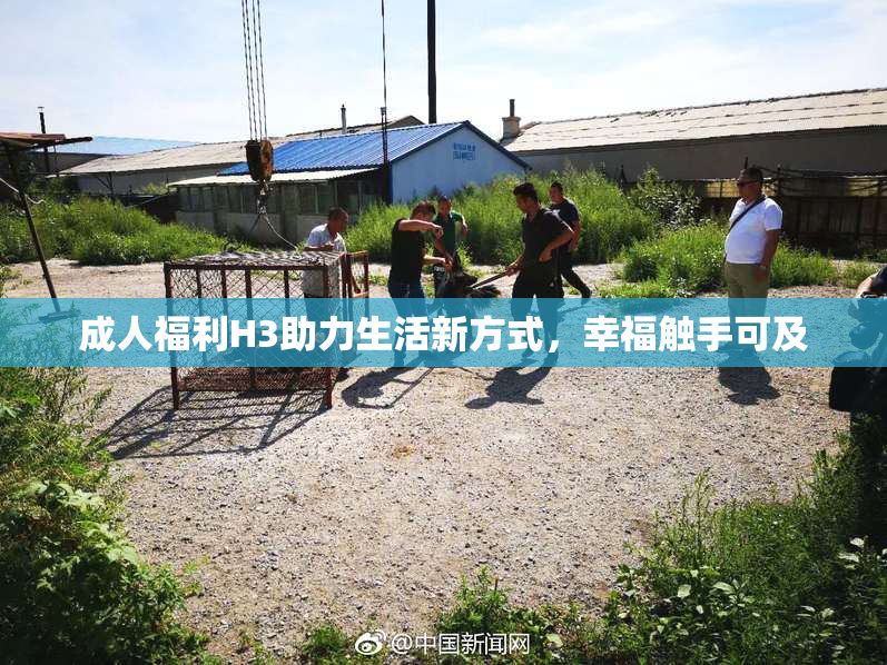 成人福利H3助力生活新方式，幸福触手可及