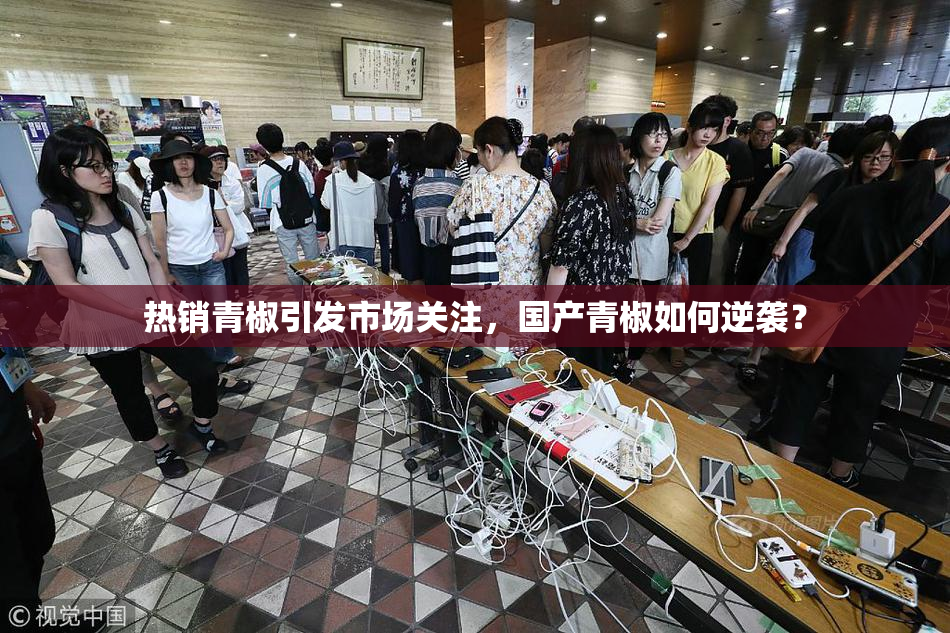 热销青椒引发市场关注，国产青椒如何逆袭？