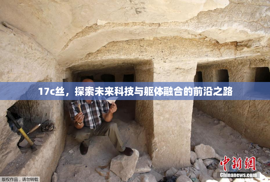 17c丝，探索未来科技与躯体融合的前沿之路