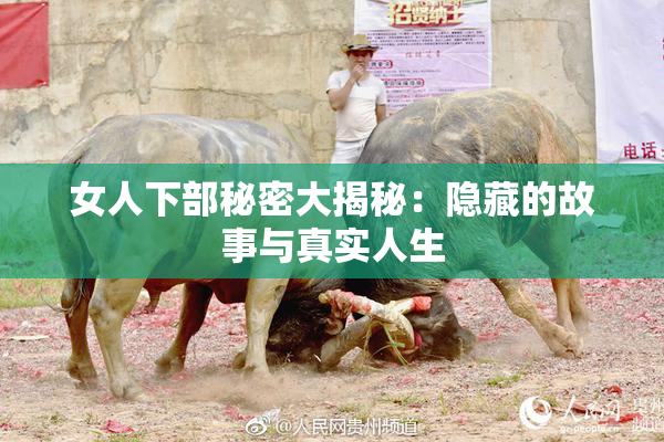 女人下部秘密大揭秘：隐藏的故事与真实人生