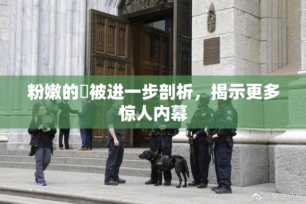 粉嫩的泬被进一步剖析，揭示更多惊人内幕