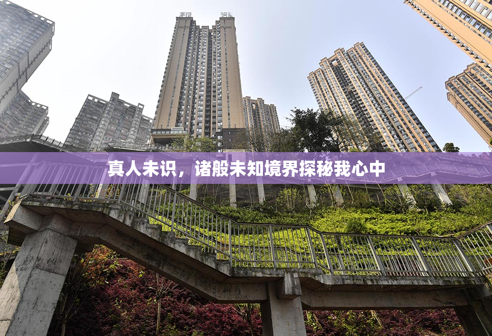 真人未识，诸般未知境界探秘我心中