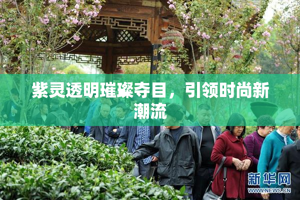 紫灵透明璀璨夺目，引领时尚新潮流