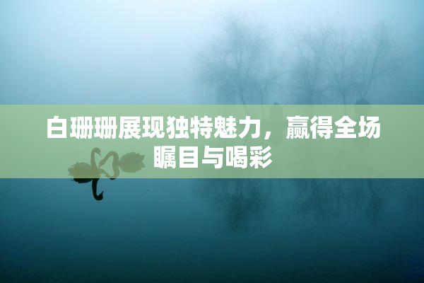 白珊珊展现独特魅力，赢得全场瞩目与喝彩