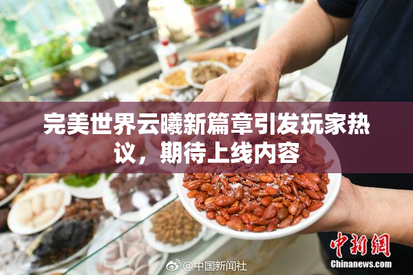 完美世界云曦新篇章引发玩家热议，期待上线内容