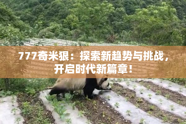 777奇米狠：探索新趋势与挑战，开启时代新篇章！