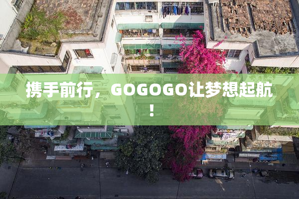 携手前行，GOGOGO让梦想起航！