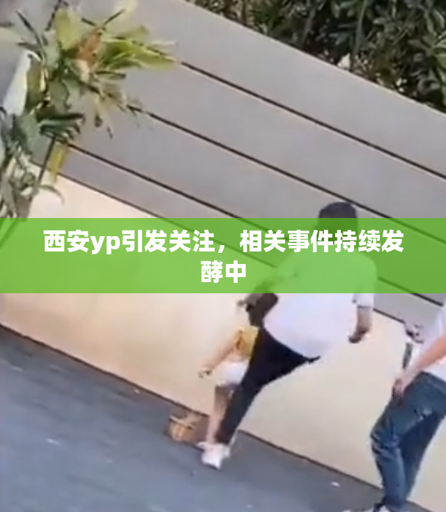 西安yp引发关注，相关事件持续发酵中