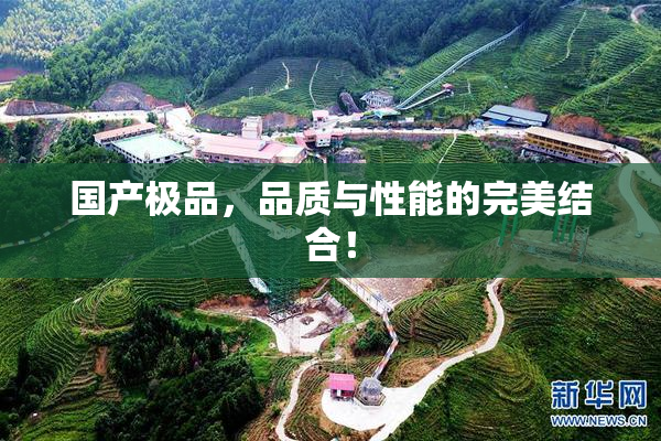 国产极品，品质与性能的完美结合！