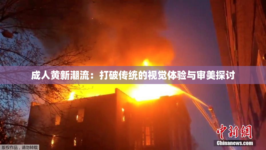 成人黄新潮流：打破传统的视觉体验与审美探讨