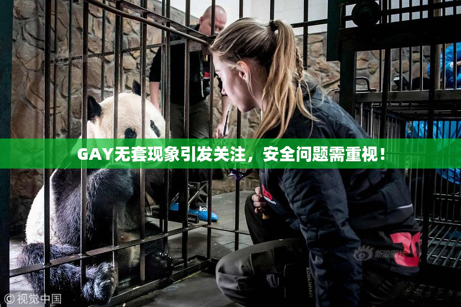 GAY无套现象引发关注，安全问题需重视！