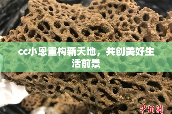 cc小恩重构新天地，共创美好生活前景
