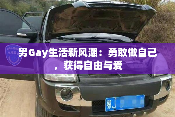 男Gay生活新风潮：勇敢做自己，获得自由与爱