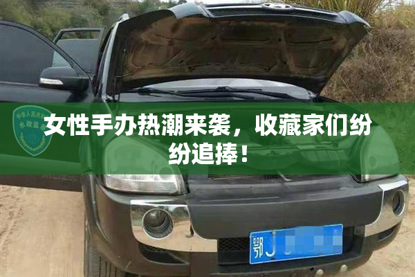 女性手办热潮来袭，收藏家们纷纷追捧！