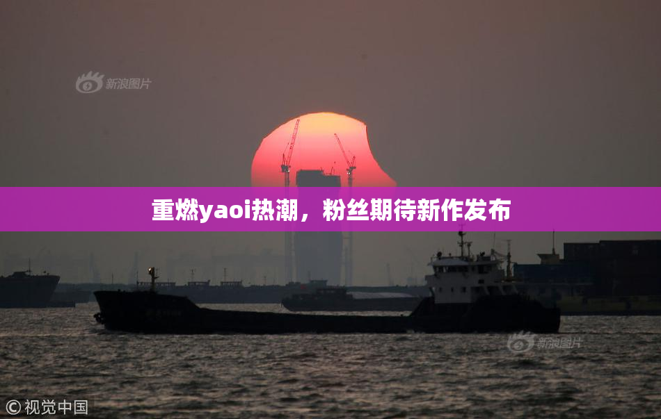 重燃yaoi热潮，粉丝期待新作发布