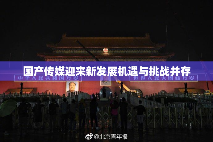 国产传媒迎来新发展机遇与挑战并存