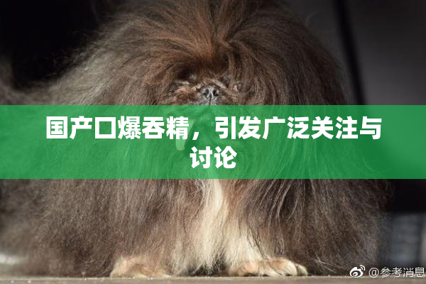 国产囗爆吞精，引发广泛关注与讨论