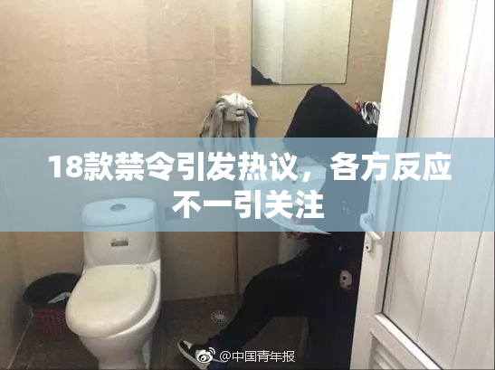 18款禁令引发热议，各方反应不一引关注