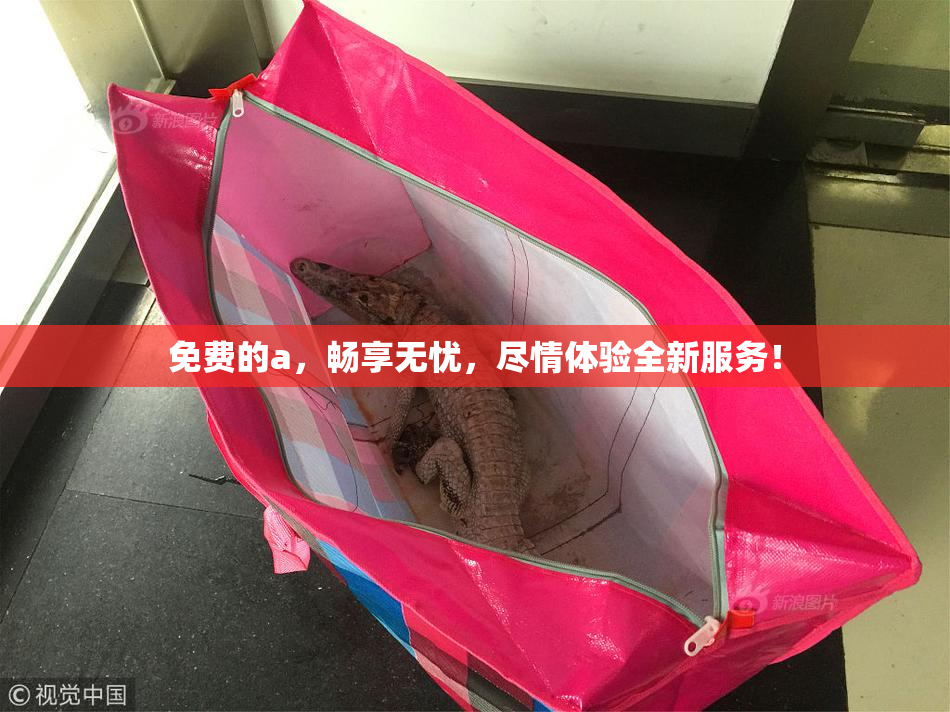 免费的a，畅享无忧，尽情体验全新服务！