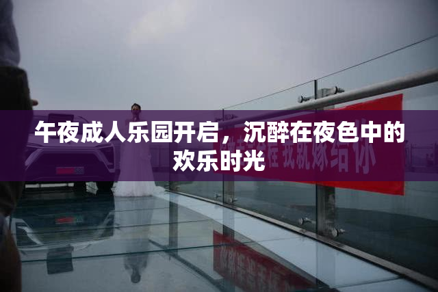 午夜成人乐园开启，沉醉在夜色中的欢乐时光