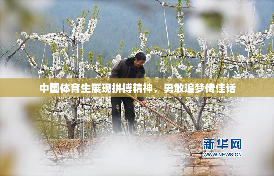 中国体育生展现拼搏精神，勇敢追梦传佳话