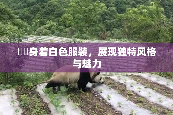 妺妺身着白色服装，展现独特风格与魅力