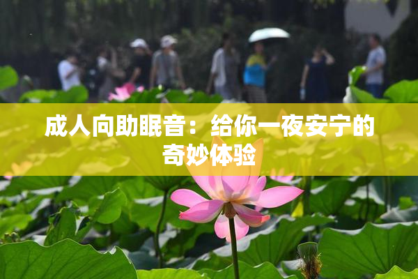成人向助眠音：给你一夜安宁的奇妙体验