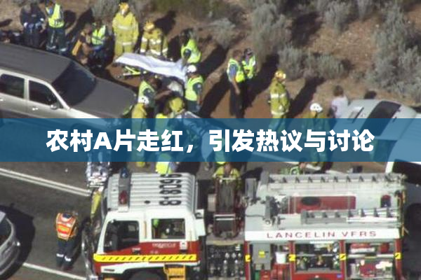 农村A片走红，引发热议与讨论