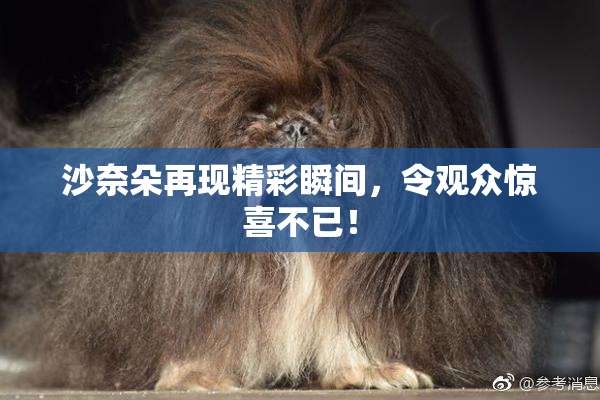 沙奈朵再现精彩瞬间，令观众惊喜不已！
