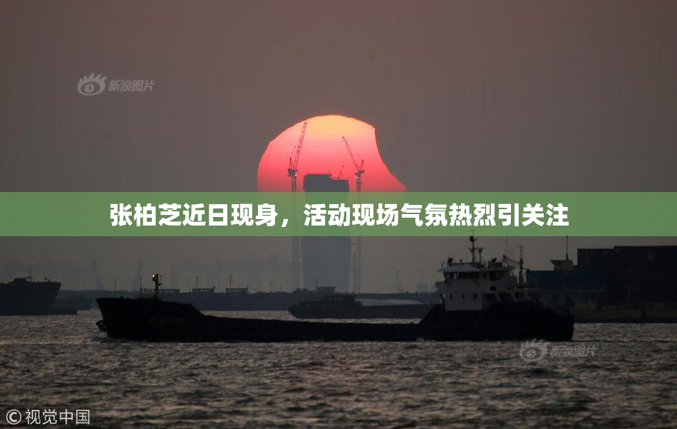 张柏芝近日现身，活动现场气氛热烈引关注