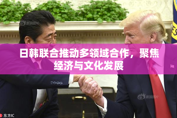 日韩联合推动多领域合作，聚焦经济与文化发展
