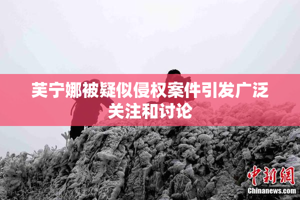 芙宁娜被疑似侵权案件引发广泛关注和讨论