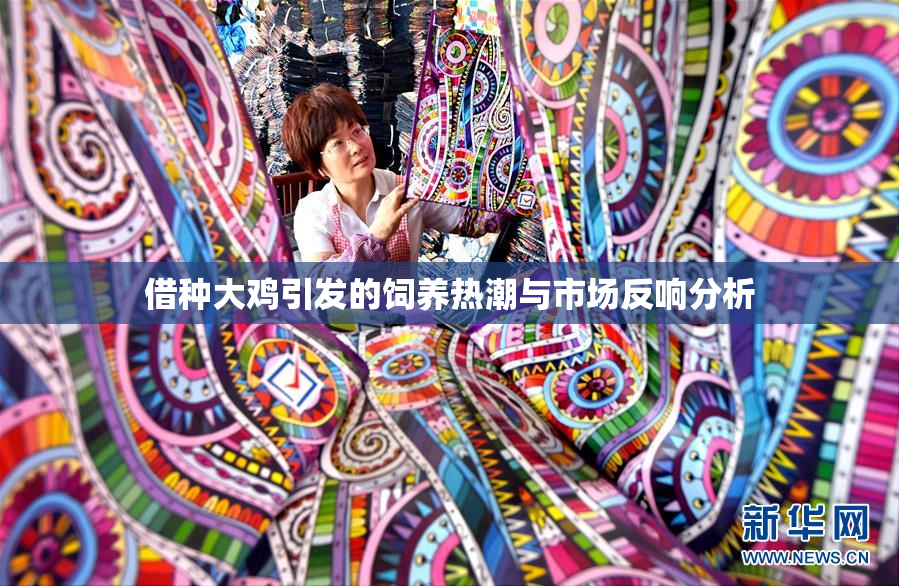 借种大鸡引发的饲养热潮与市场反响分析