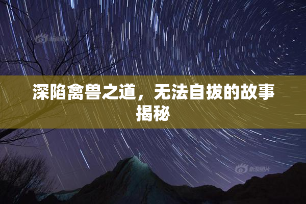 深陷禽兽之道，无法自拔的故事揭秘