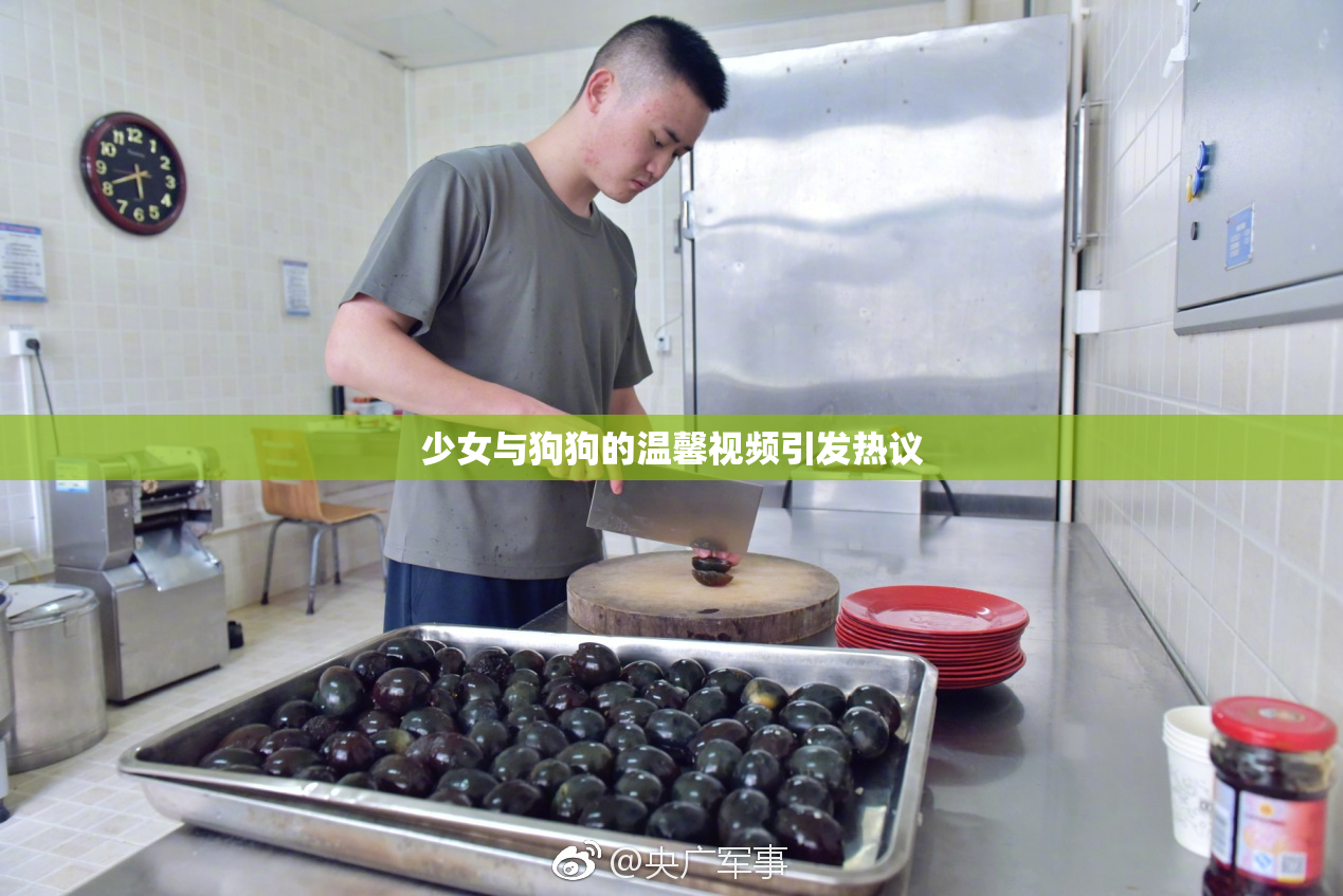 少女与狗狗的温馨视频引发热议