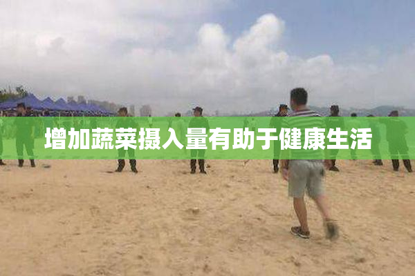 增加蔬菜摄入量有助于健康生活