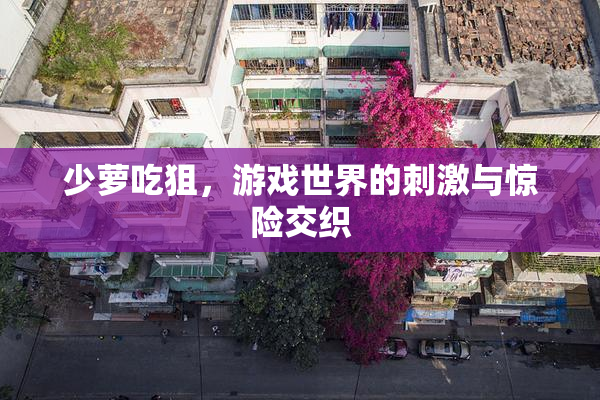 少萝吃狙，游戏世界的刺激与惊险交织