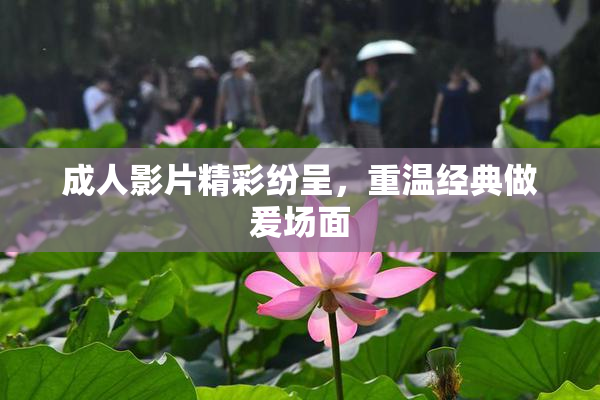 成人影片精彩纷呈，重温经典做爰场面