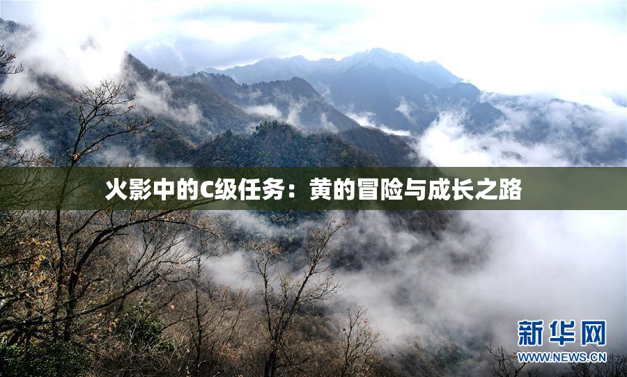 火影中的C级任务：黄的冒险与成长之路