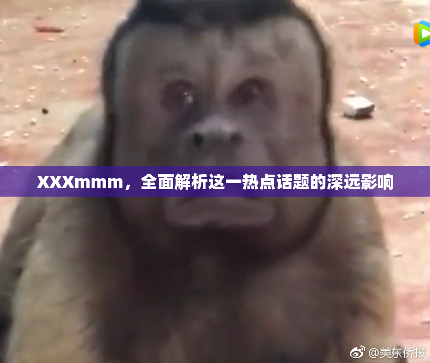 XXXmmm，全面解析这一热点话题的深远影响