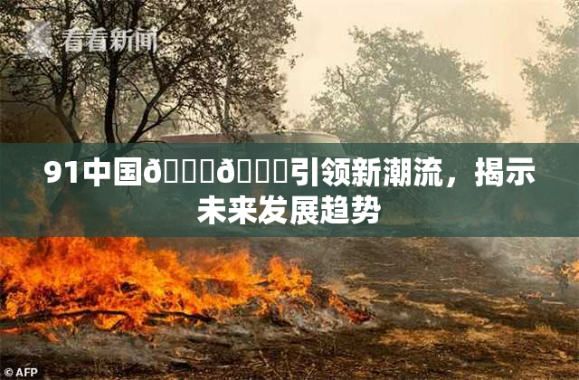 91中国🍆🍑引领新潮流，揭示未来发展趋势