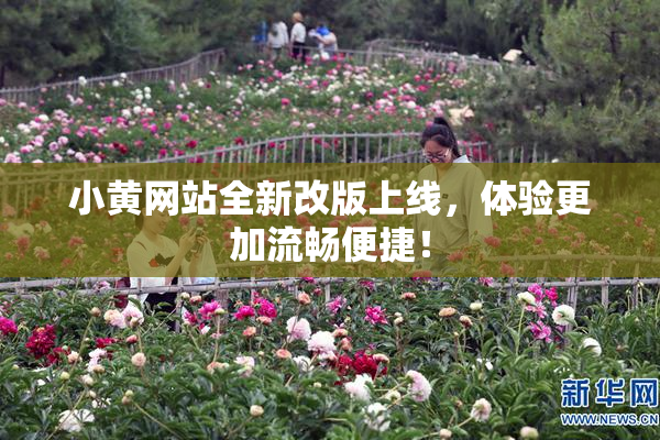 小黄网站全新改版上线，体验更加流畅便捷！