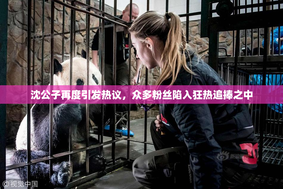 沈公子再度引发热议，众多粉丝陷入狂热追捧之中