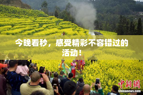 今晚看秒，感受精彩不容错过的活动！