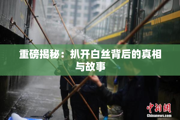 重磅揭秘：扒开白丝背后的真相与故事