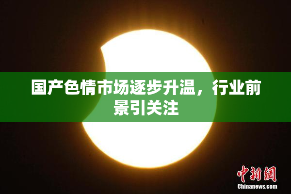 国产色情市场逐步升温，行业前景引关注